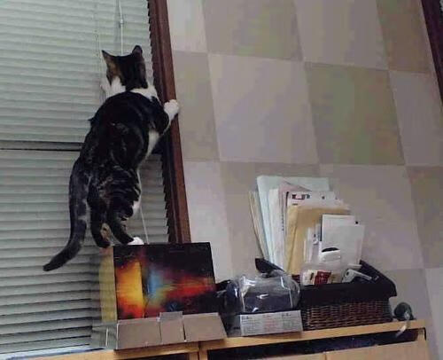 《《绝地求生》2.0新版上线，游戏体验再升华》，绝地求生新版的绝地求生