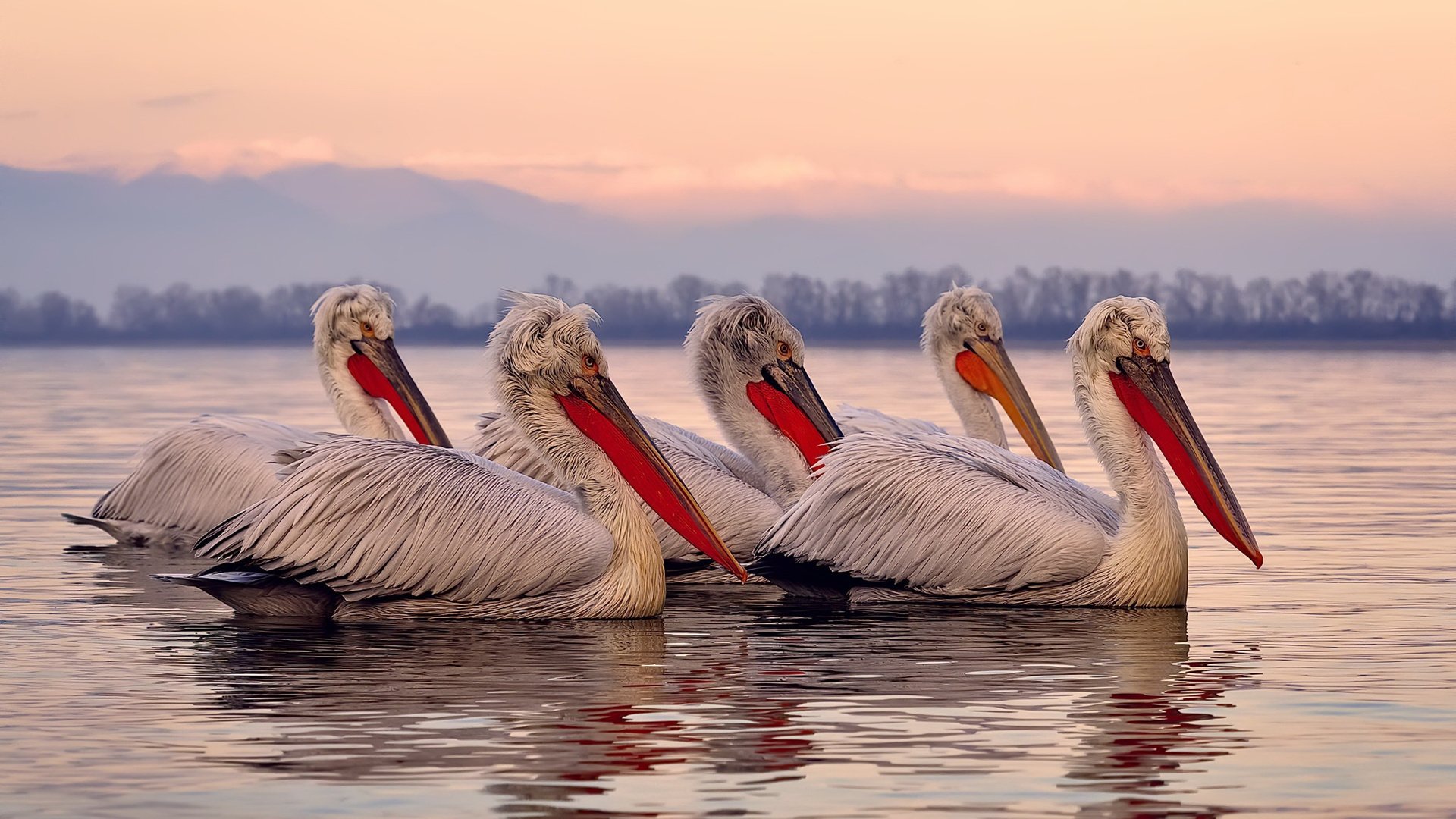 开云网站-史上最“燃”关键三分，哪一球让你血脉贲张？